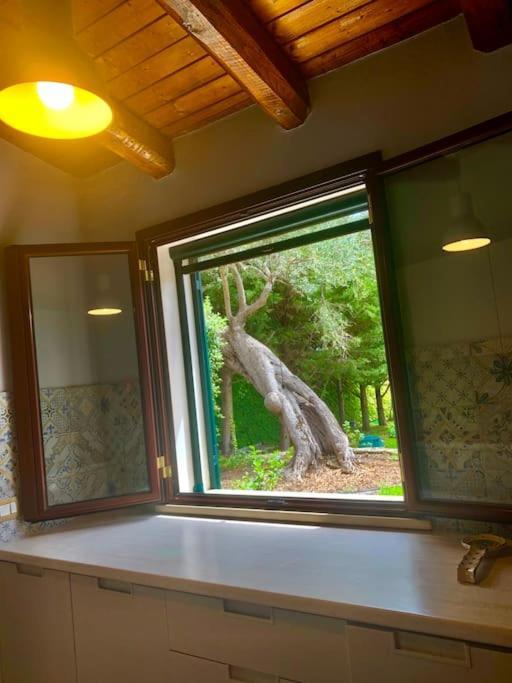 アウグスタCasa Magnoliaアパートメント エクステリア 写真